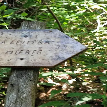 Unplug & Unwind Peaceful For 9 Guests * Mieres (Girona)